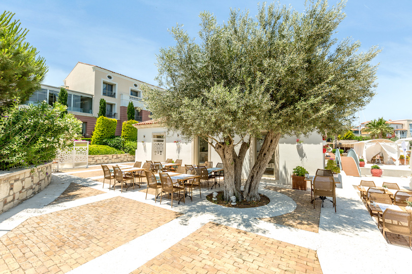 The olive-tree courtyard at Antmare Hotel